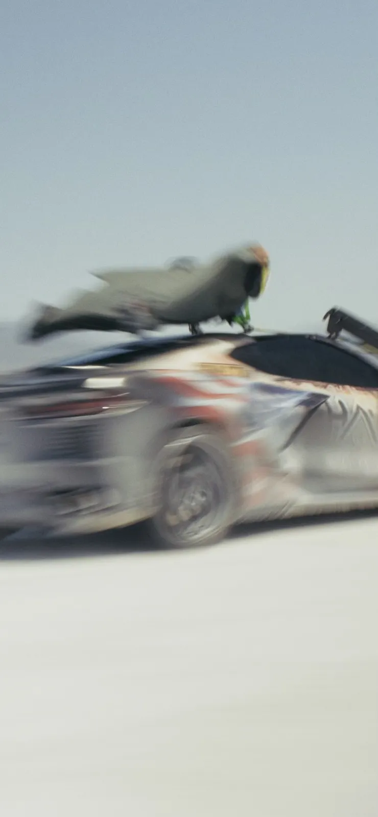 the dream team 4 11 2